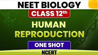 Human Reproduction One Shot last min Revisiononeshot board class12th viral cbse viralvideos [upl. by Odradlig907]