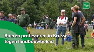 Boeren protesteren in Brussel tegen landbouwbeleid [upl. by Polly235]