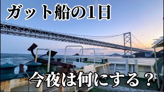 【ガット船の日常】【船乗り】ガット船の日常！荷役中に突然の訪問者！橋は潜るもんだ❗️ [upl. by Haimerej]