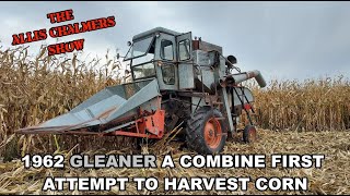 Allis Chalmers Show 1962 Gleaner Model A Combine Harvesting Corn First Attempt [upl. by Azilef]