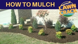 Mulch Like a Pro  How to Mulch Tutorial  How to Mulch and Edge  Landscaping Tips  LawnCrack [upl. by Hildegaard]