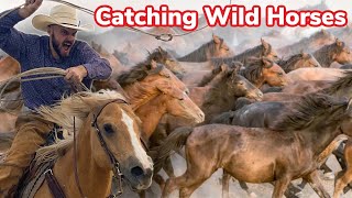 Gathering Feral Horses On the Navajo Nation [upl. by Dotti418]