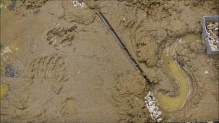 Channelized river model sedimentology [upl. by Hodosh]