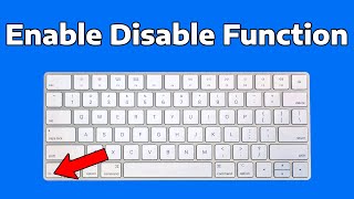 How To Enable or Disable Function Keys in Windows 11 [upl. by Antonino]