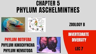 Phylum Aschelminthes Phylum RotiferaPhylum Kinorhyncha Zoology B Miller amp Harley [upl. by Waine103]