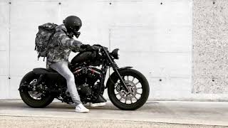 Sportster Iron 883 Brutal Sound [upl. by Nialb613]