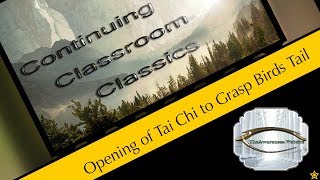 1 2 3 Opening Of Tai Chi  Left Grasp Birds Tail  Grasp Birds Tail [upl. by Olimac]