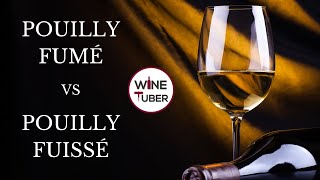 Pouilly Fumé vs Pouilly Fuissé What is the differences between PouillyFumé and PouillyFuissé [upl. by Devan202]