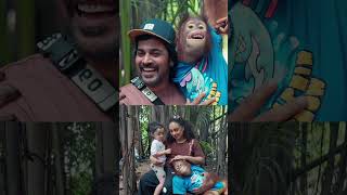 Safari vlog  Adichu keri va pearlemaaney srinisharavind shorts [upl. by Hultin]