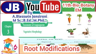 11thBioBotany3Vegetative MorphologyRoot Modifications [upl. by Limaj]