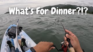 CAN I CATCH DINNER FROM THE KAYAK IN LESS THAN TWO HOURS Fishing In Chaguaramas Trinidad [upl. by Hemingway952]