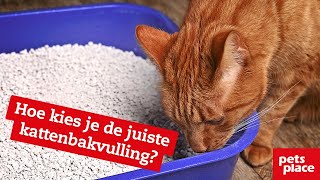 Wat is de beste kattenbakvulling om de kattenbak te verschonen [upl. by Freemon]