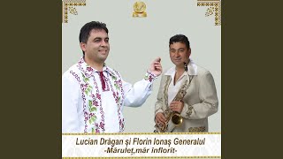 Marulet Mar Inflorit feat Florin Ionas Generalul [upl. by Oruntha]