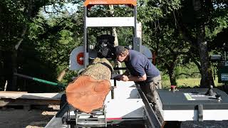 On the big Logosol B1001 bandsaw mill Goat Willow [upl. by Atinra]