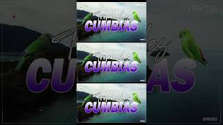 CUMBIAS TROPICALES MIX 🦜VIEJITAS TROPICALES🎺ACAPULCO TROPICAL TROPICAL FLORIDA LOS KARKIS [upl. by Jenda]