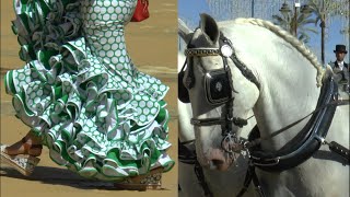 SPAIN Jerez  Feria del Caballo 2019 Andalusian Horses and exquisite outfits [upl. by Goer]