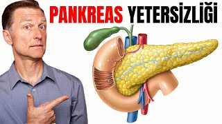 Pankreas Yetersizliği  Pankreasın Fonksiyonları ve Pankreatit  DrBerg Türkçe [upl. by Hennahane]