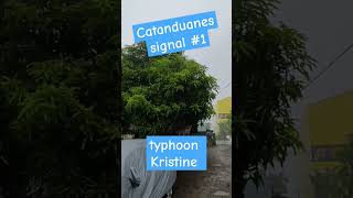 Update on typhoon Kristine  Catanduanes is signal1  delarosachannel catanduanes typhoonkristine [upl. by Tabb]