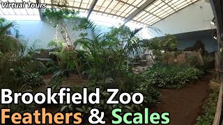 Brookfield Zoo Feathers amp Scales  Virtual Tours [upl. by Akcired]