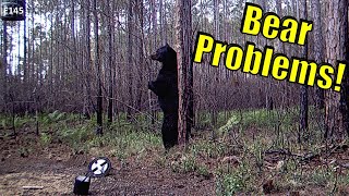 How to Build a BEAR PROOF Deer Corn Feeder with Moultrie Hanging Hoist [upl. by Chemush]