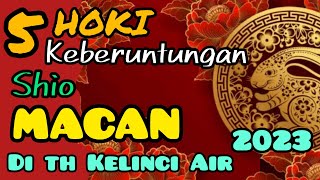 5 HOKI SHIO MACAN di tahun KELINCI Air  ELEMEN AIR th 2023  IMLEK 2575 [upl. by Gaspar]