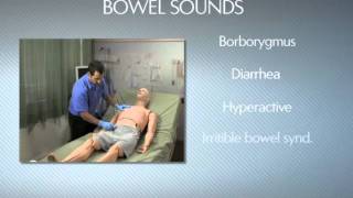 HAL® S3201  Part 9  Bowel sounds [upl. by Shelbi]