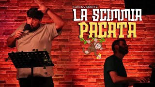 FAVOLE BRUTTE  La Scimmia Pacata ridere standupcomedy favolebrutte [upl. by Notsniw]