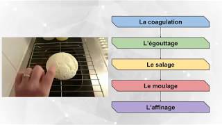 La fabrication dun fromage par Maé et Camille [upl. by Leumek]