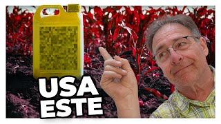 💥Qué INSECTICIDAS se utilizan para el control de plagas🦠  PLAGAS 2 [upl. by Aiepoissac]