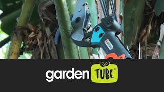 Tree pruning with Gardena Combisystem [upl. by Jourdan264]