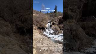 KasolHimachal Pradesh ytshorts youtube shorts kasoldiaries himachalpradesh travel music [upl. by Anhoj]