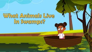 What Animals Live In Swamps  Swamp Animals  Animal Facts  Facts for Kids [upl. by Icyak]