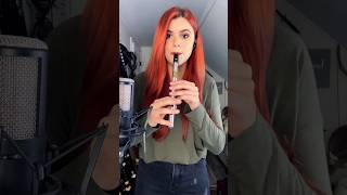 Galeon High D tin whistle  Homer’s Reel [upl. by Bernj]