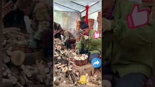 Ganoderma Cultivation Bed Preparation Processquot [upl. by Arihk]