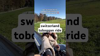 bucket list toboggan ride in switzerland ✅🇨🇭 swizterland toboggan tobogganing [upl. by Gothard]