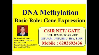 DNA Methylation Role in Gene Expression  Video lecture by Dr Jitendra Kumar [upl. by Nogas]