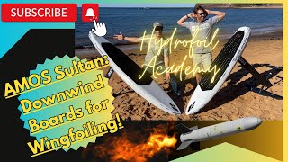 Downwind Boards for Wingfoiling Amos Shapes Sultan Wing and Sultan DW Review  Hydrofoil Academy [upl. by Ardried]