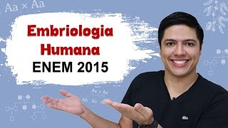 ENEM 2015 BIOLOGIA 03  Embriologia Humana  Prof Kennedy Ramos [upl. by Graubert]