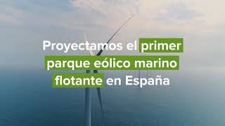 Primer parque eólico marino flotante en España [upl. by Norramic903]