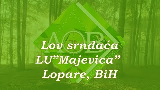 Lov srndaća LU quotMajevicaquot Lopare BiH [upl. by Yseulta]