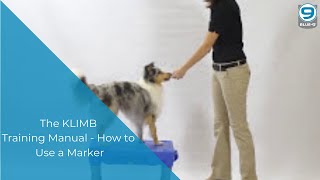 The KLIMB Training Manual  Section How to Use a Marker [upl. by Airtal704]