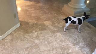 Travertine Crack Repair Tempe AZ with Tile Girl [upl. by Anear]