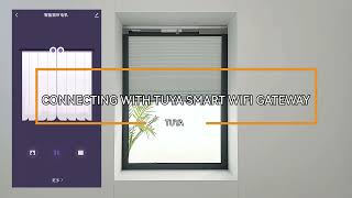 Connecting with TUYA Smart Wifi Gateway [upl. by Diskson]