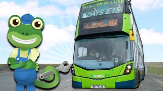 Geckos Real Vehicles  Buses  Vehicles For Kids  Geckos Garage  Learning For Kids [upl. by Zimmerman]