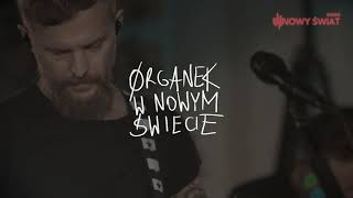 Organek w Nowym Świecie  Kate Moss [upl. by Jecon]