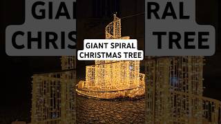 SPIRAL CHRISTMAS TREE belgium mechelen 2800 2800LOVE christmastree christmas happynewyear [upl. by Kire]