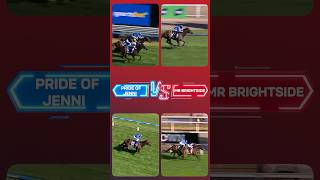 Its BRIGHTSIDE v JENNI again 🍿shorts horse horseracing viral springcarnival [upl. by Ina]