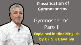 Classification of Gymnosperms by Dr N K Bavaliya Principal Govt Science College Sikar Rajasthan [upl. by Rett]