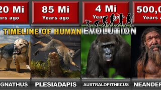 Timeline Of The Evolutionary History Of Life  Darwin evolution amp natural selection [upl. by Jarred]