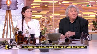 Herboriste  comment sauver ce métier en voie dextinction   La Quotidienne [upl. by Onitnerolf330]